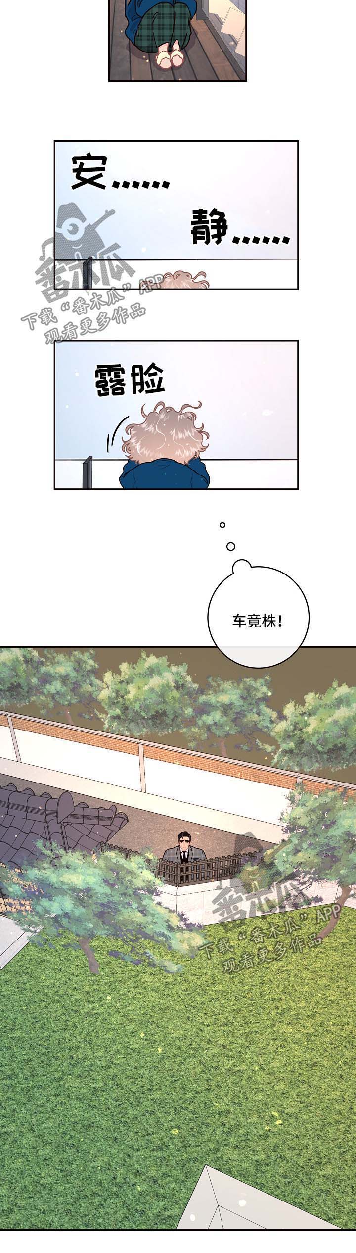 绳编小白菜漫画,第88章：【第三季】鹊桥相会5图