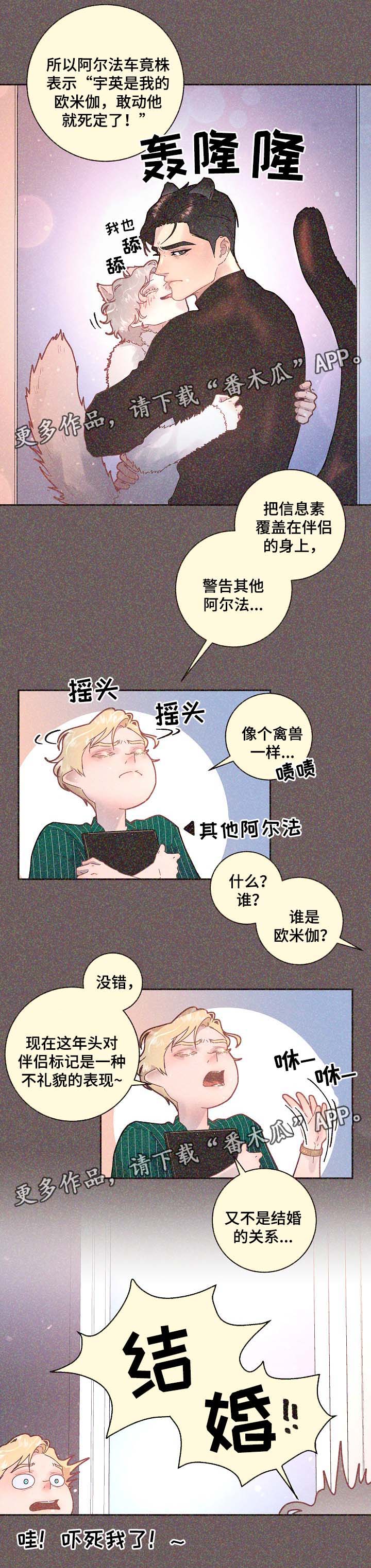 省编码查询入口漫画,第67章：标记是什么5图