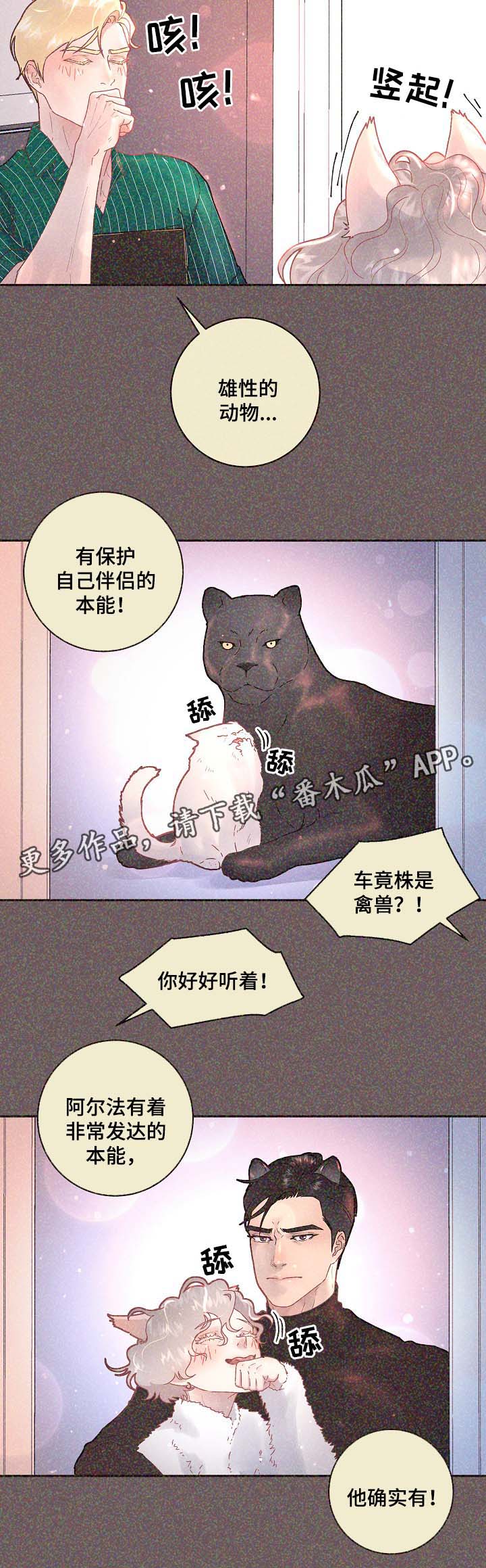 省编码查询入口漫画,第67章：标记是什么4图