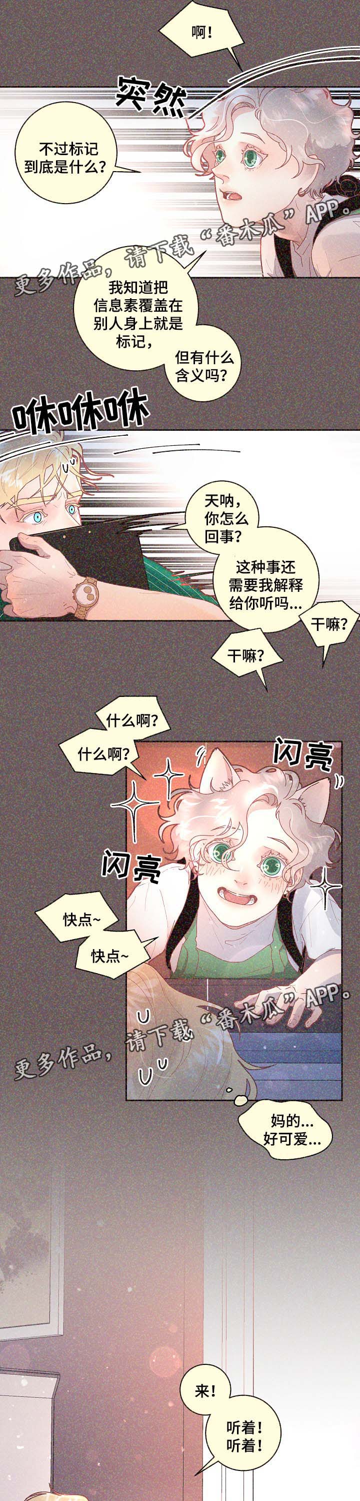 省编码查询入口漫画,第67章：标记是什么3图