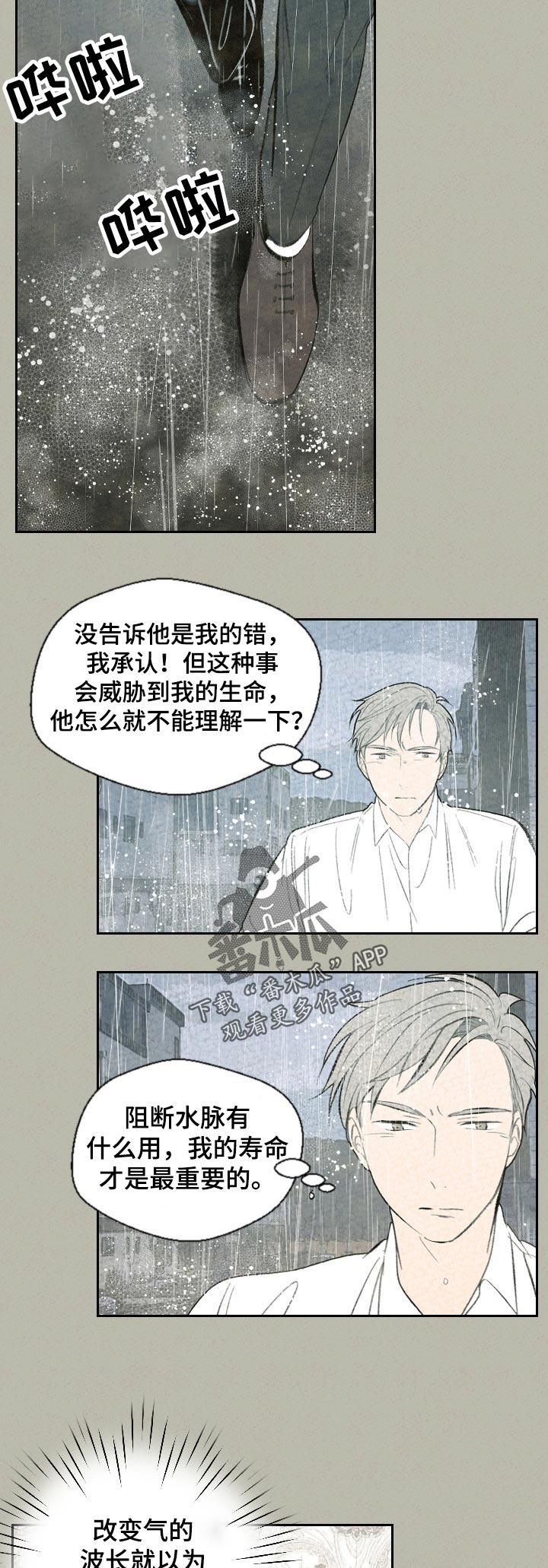 伴生灵宝本命灵宝区别漫画,第54章：鱼还是猫3图