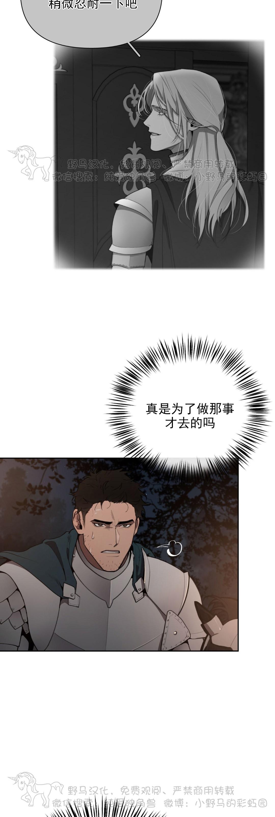 plaything成为某大公阁下的玩物漫画,第21话3图