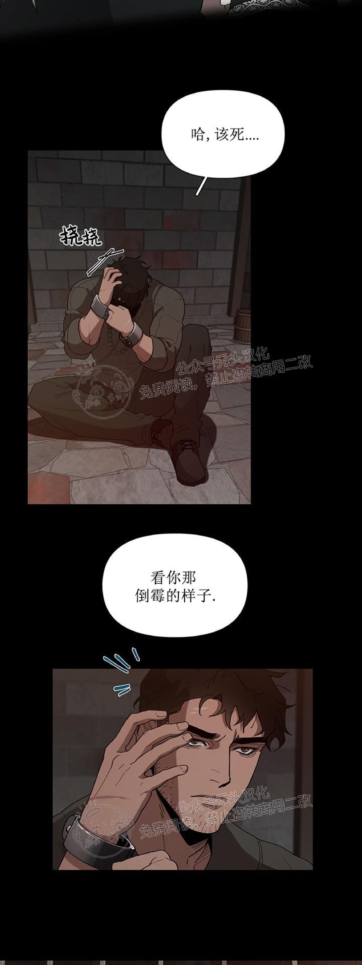 成为某大公阁下的玩物或者plaything漫画,第11话4图
