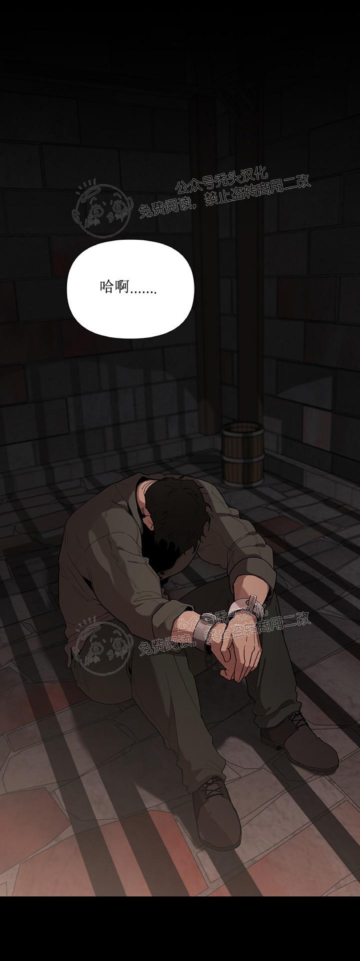 成为某大公阁下的玩物或者plaything漫画,第11话1图