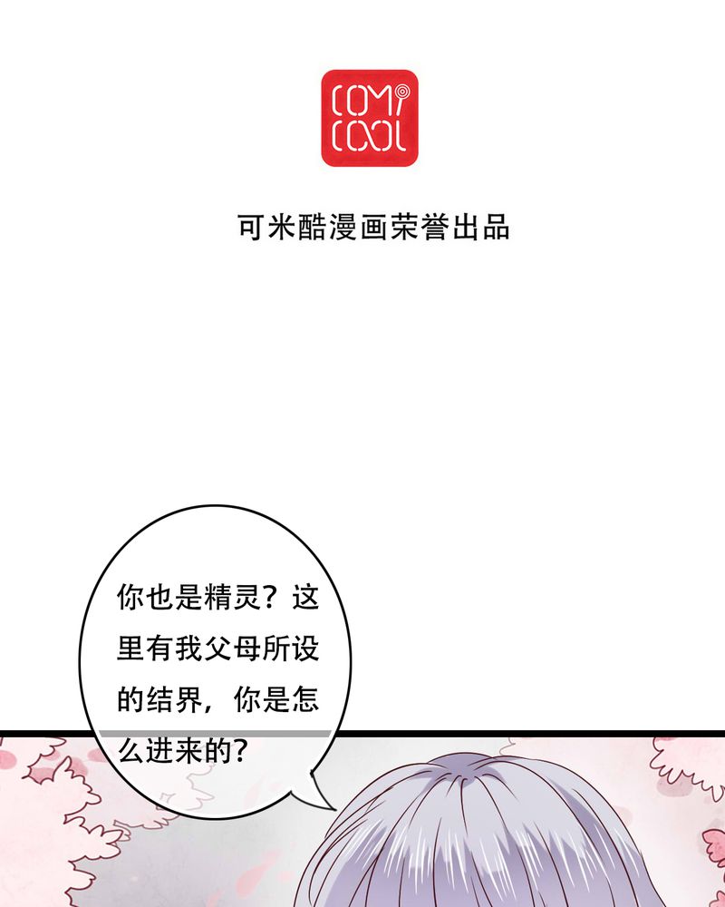 雨后的盛夏漫画下拉式漫画,第87章：治愈系精灵2图
