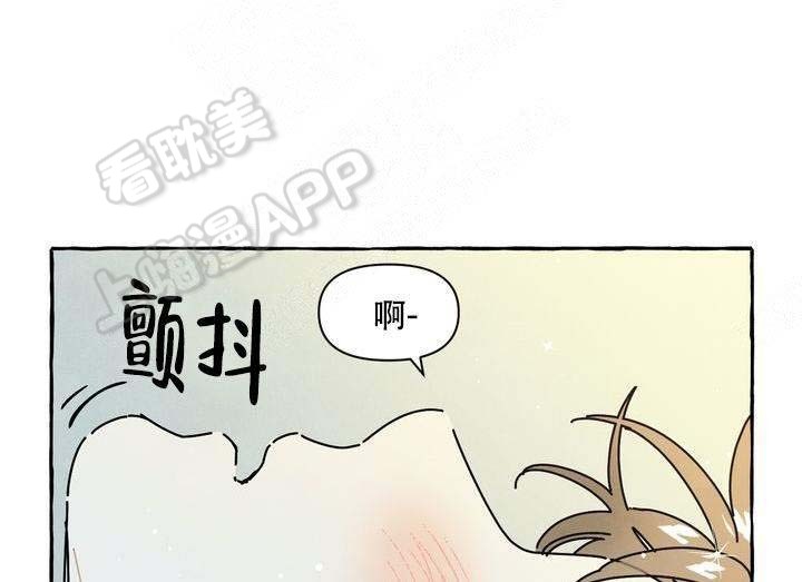 奋不顾身爱上一个人漫画,第19话5图