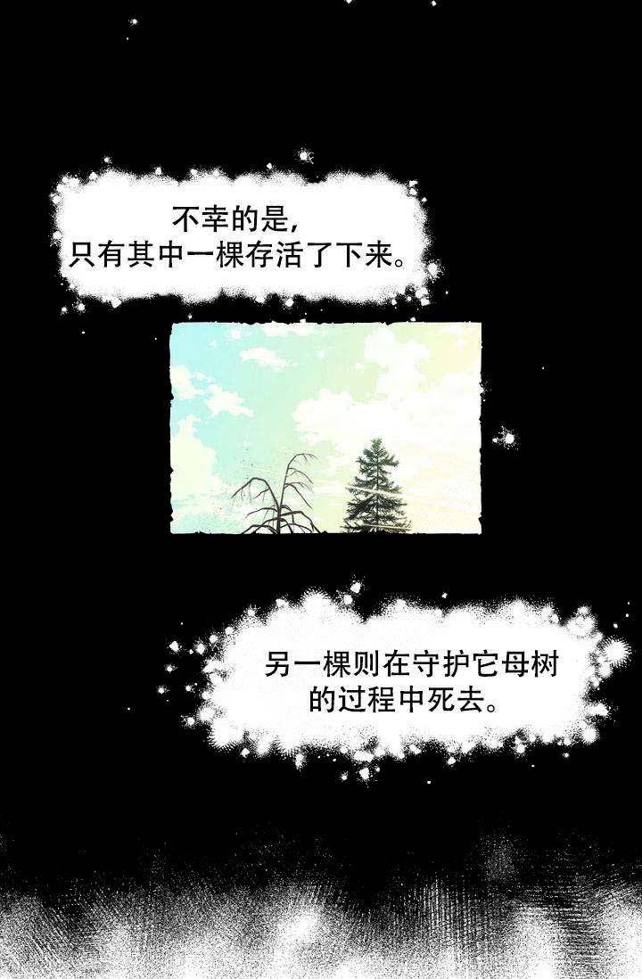 奋不顾身的漫画,第1话3图