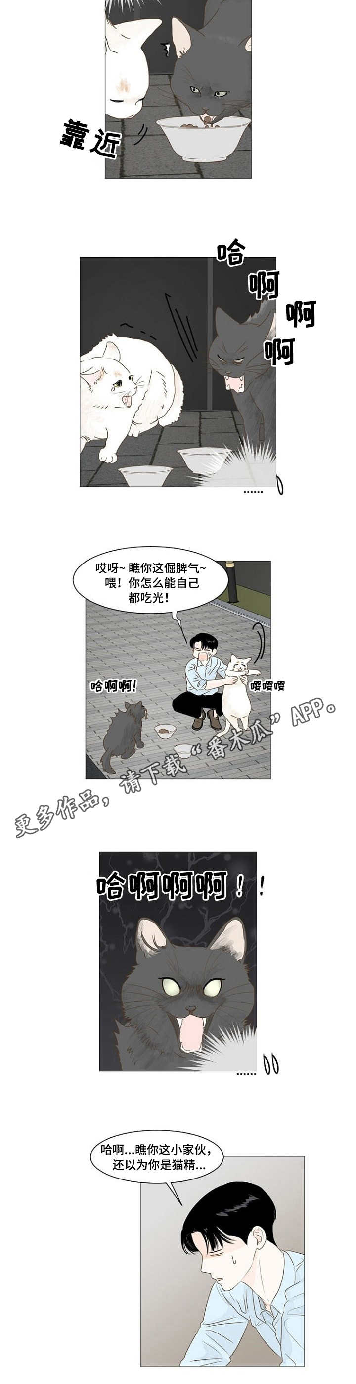 秘密之间日剧漫画,第16章：喂猫5图