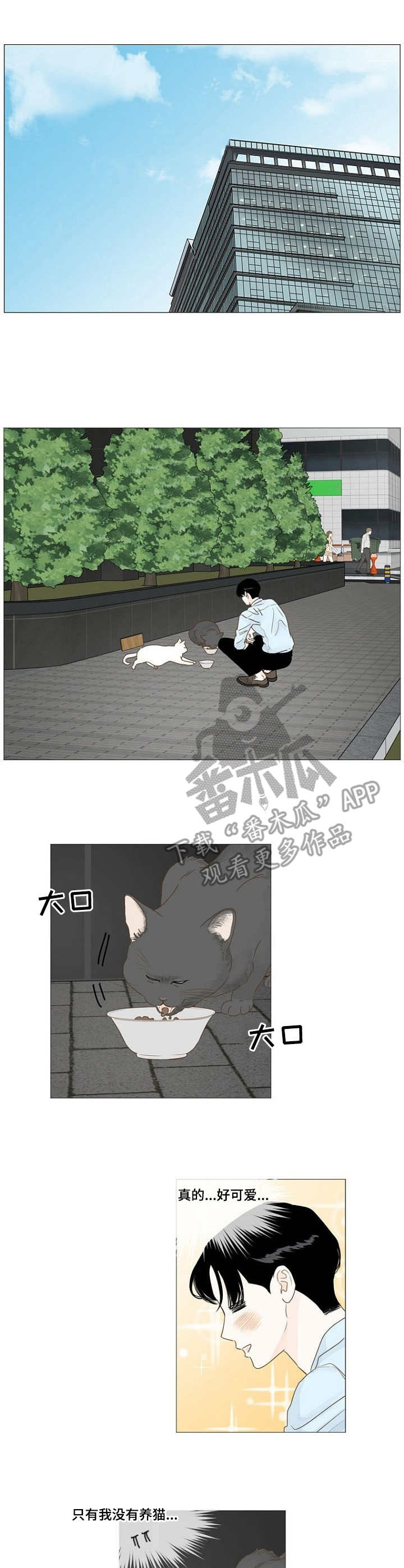 秘密之间日剧漫画,第16章：喂猫4图