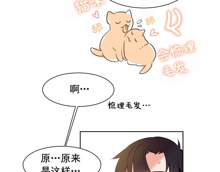 爱喵不可言漫画阅读漫画,第5话 想你，我的主人5图