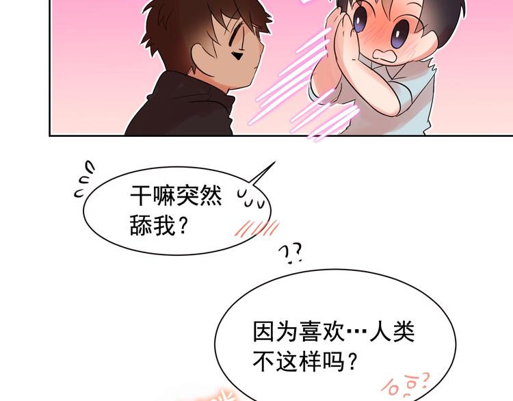 爱喵不可言漫画阅读漫画,第5话 想你，我的主人4图