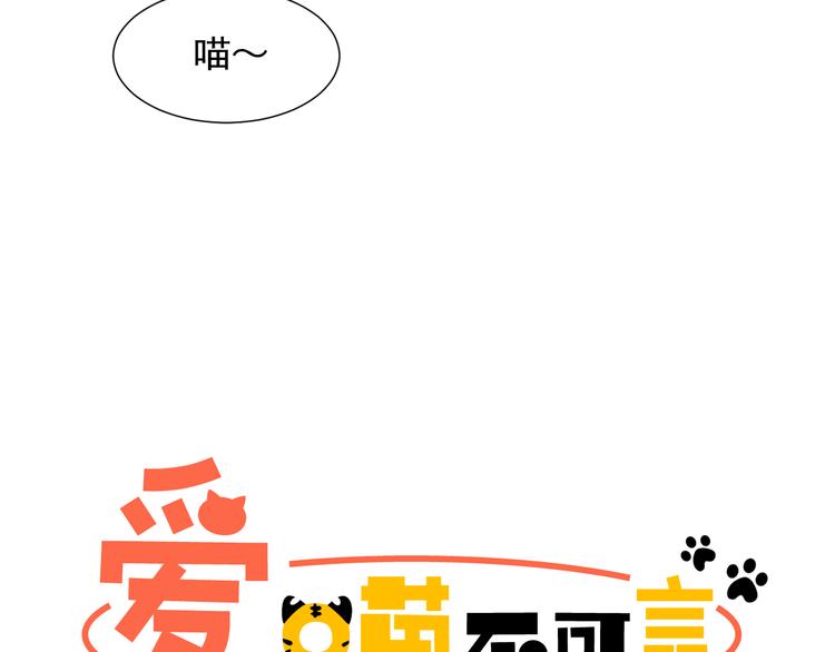 喵不可言免费观看漫画,第2话 可爱到让人想犯罪5图