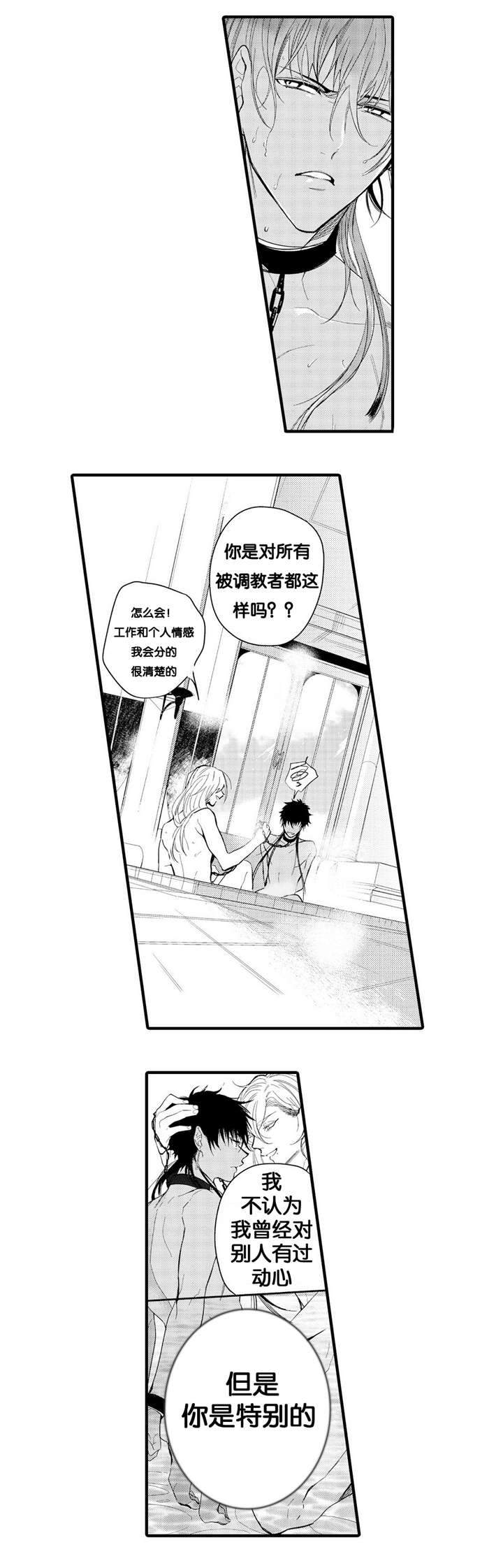 撒哈拉沙漠的故事txt漫画,第4话5图