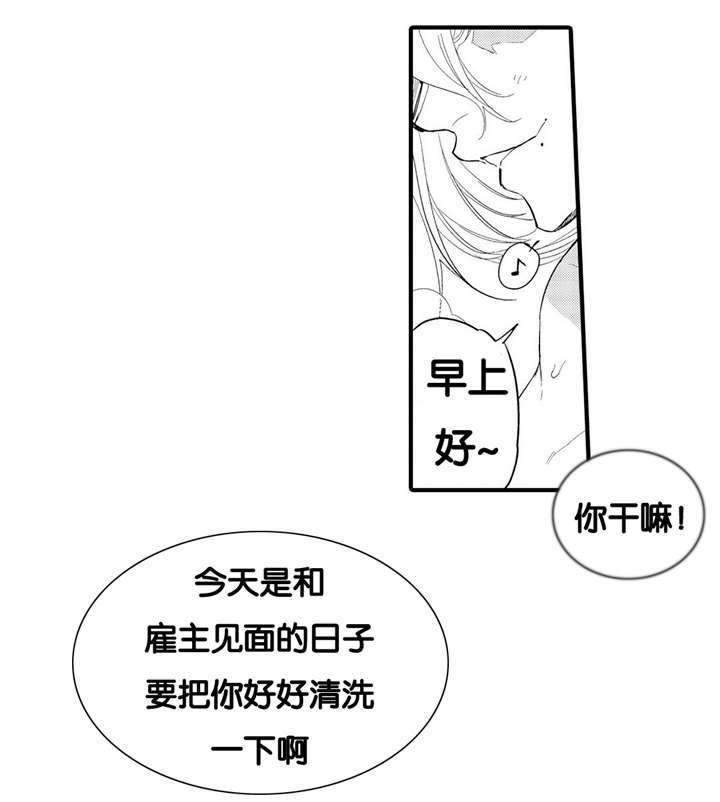 撒哈拉沙漠的故事txt漫画,第4话3图
