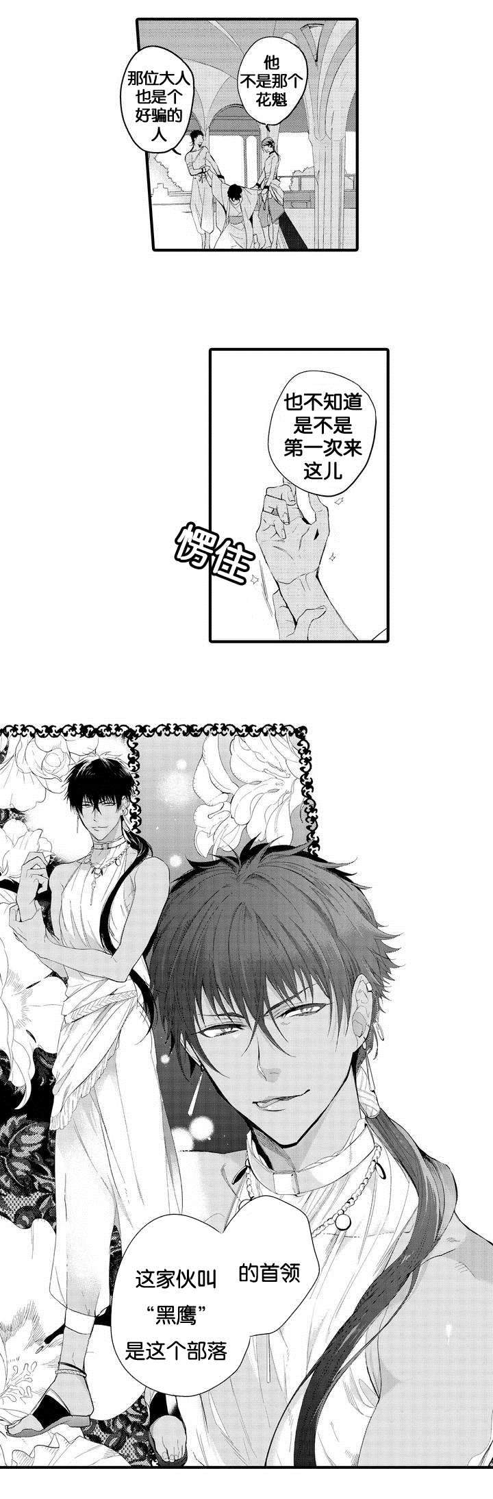撒哈拉沙漠的黑鹫在线阅读漫画,第1话4图