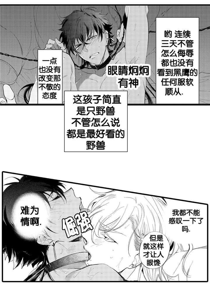 撒哈拉沙漠的风景漫画,第6话2图