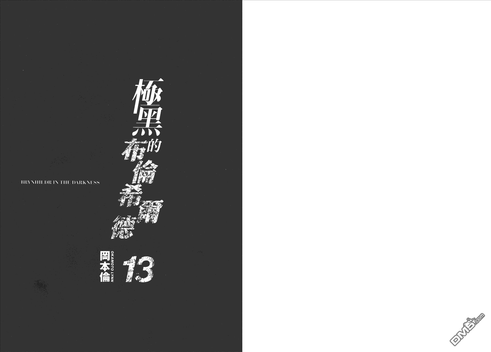 极黑的布伦希尔特动漫全集漫画,第13卷3图
