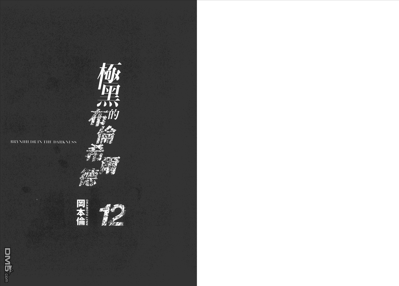 极黑的布伦希尔特日文名漫画,第12卷3图