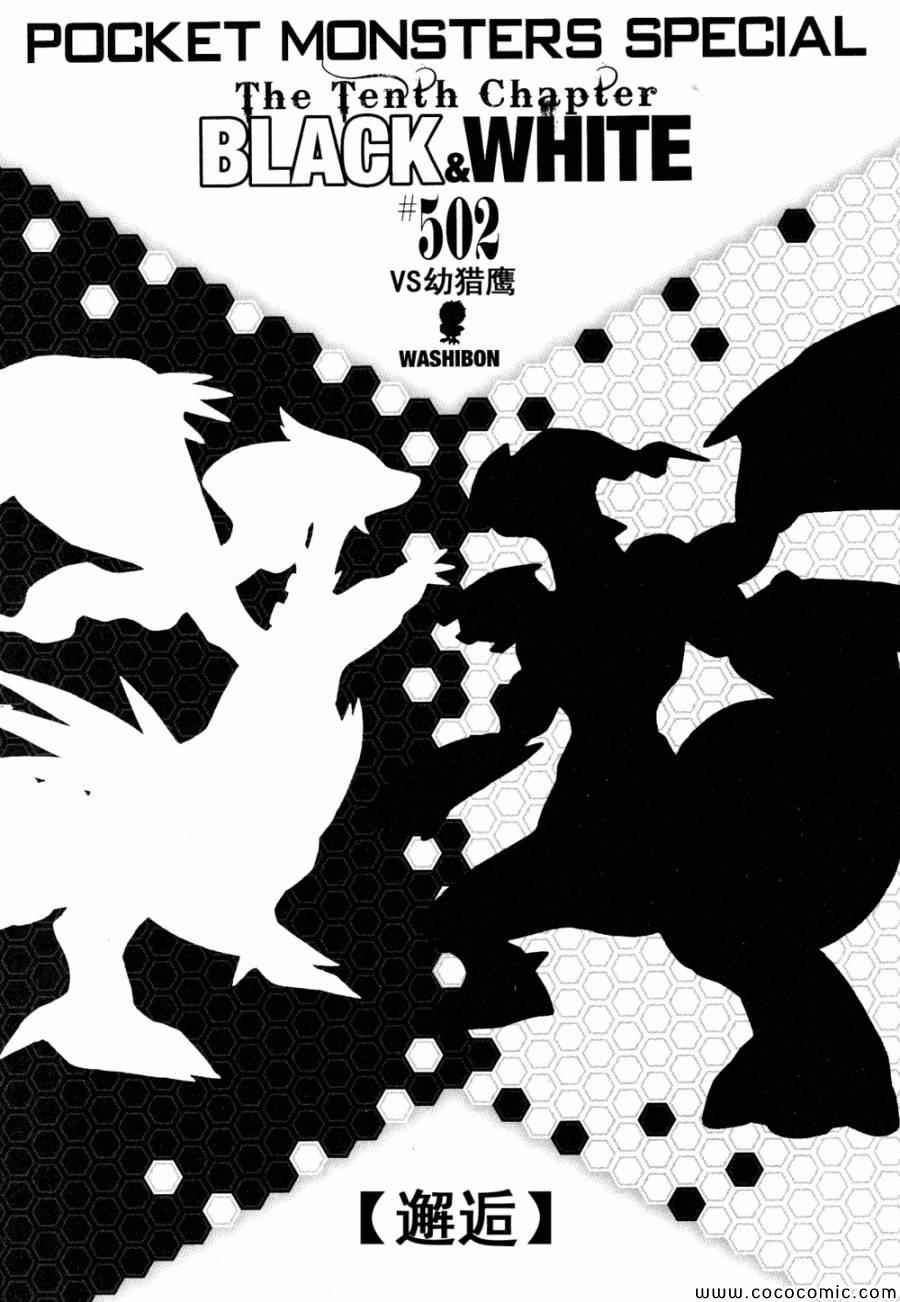 神奇宝贝特别篇在线看漫画,第502话VS幼猎鹰1图