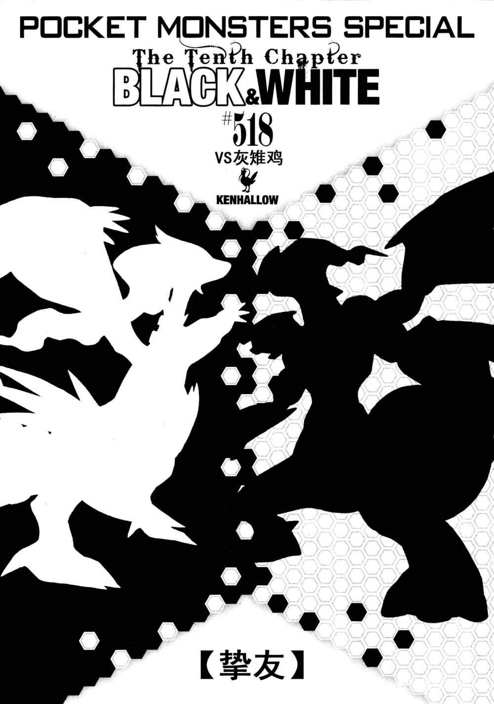 神奇宝贝特别篇漫画在线看漫画,第518话vs灰雉鸡1图