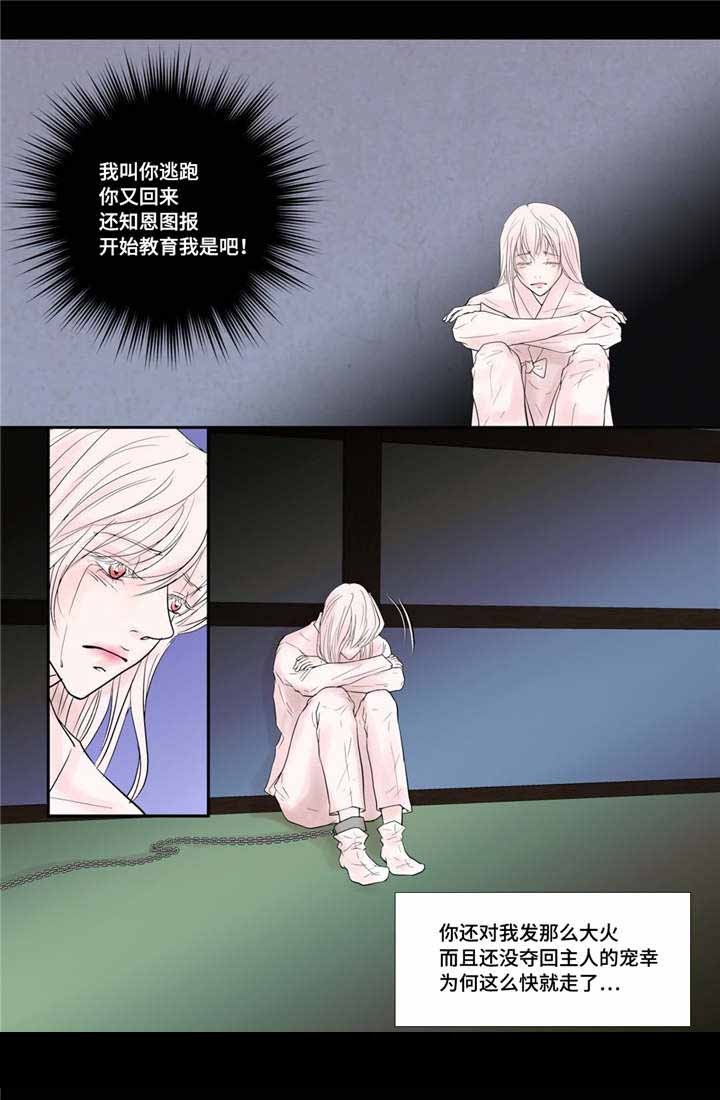 人形图片英语漫画,第37话4图
