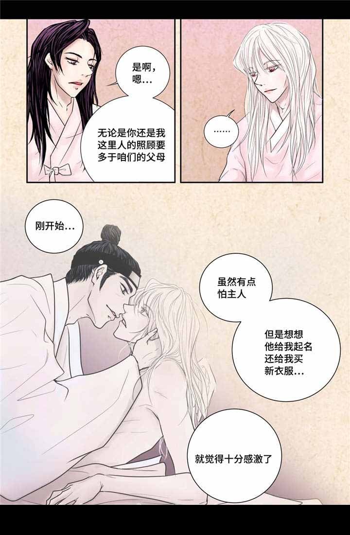 人形图案的品牌衣服漫画,第12话5图