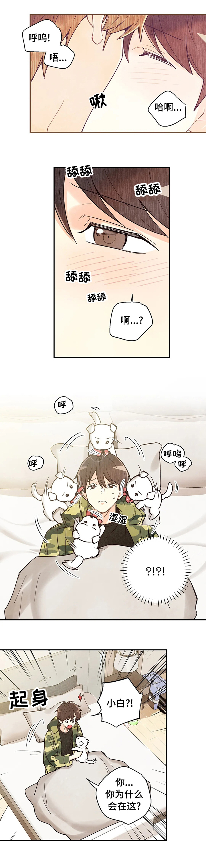 身体纹立体文字漫画,第95章：车祸那次的狗狗2图
