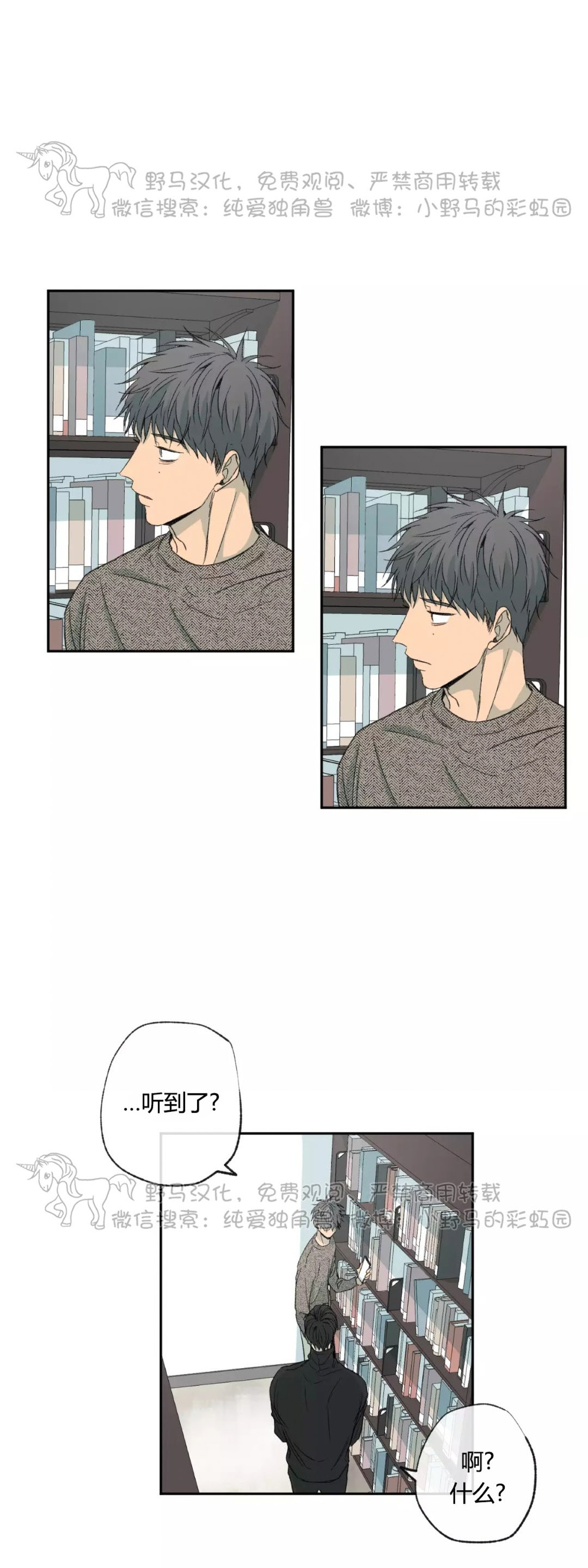 同情的形态第三季番外漫画,第40话1图