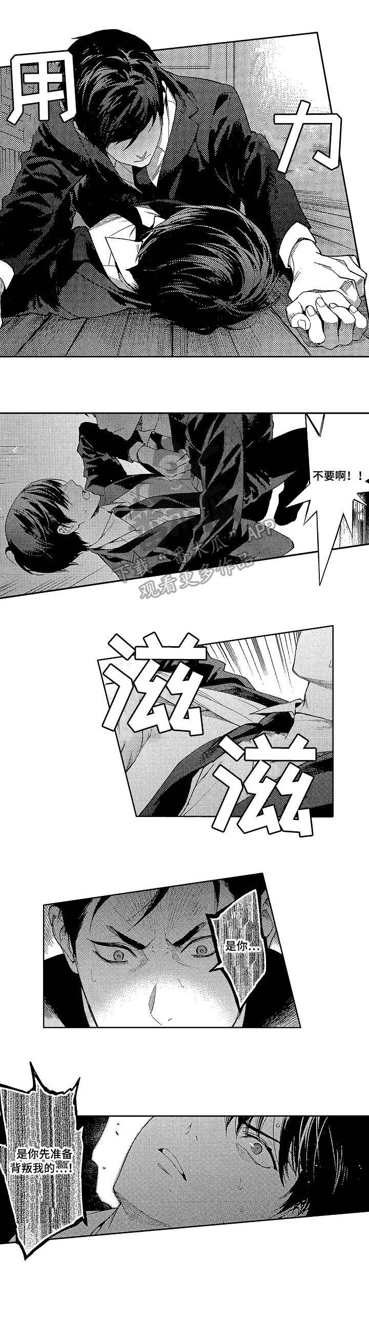秘密议会漫画,第15章：反目2图