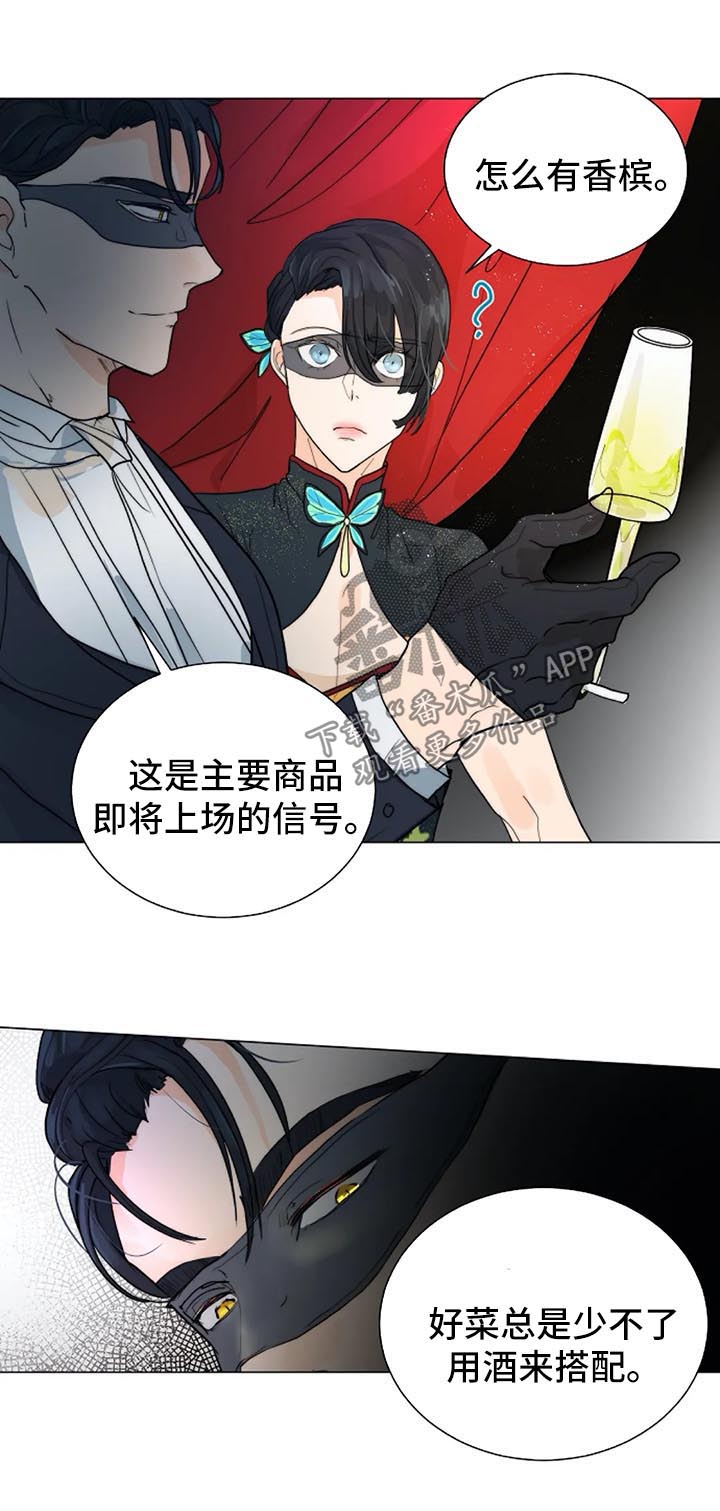 目标寿终正寝漫画,第35章：黑暗拍卖会5图