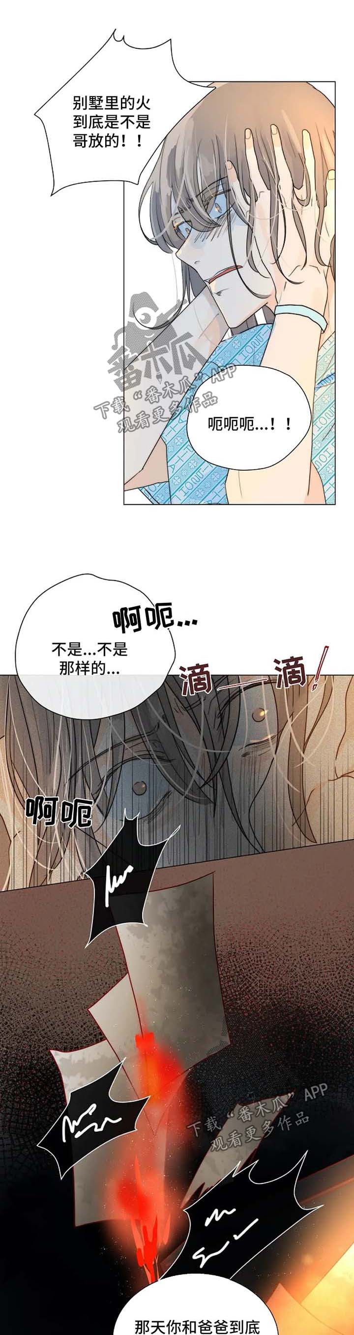 目标价62元的煤炭股漫画,第47章：急性子1图