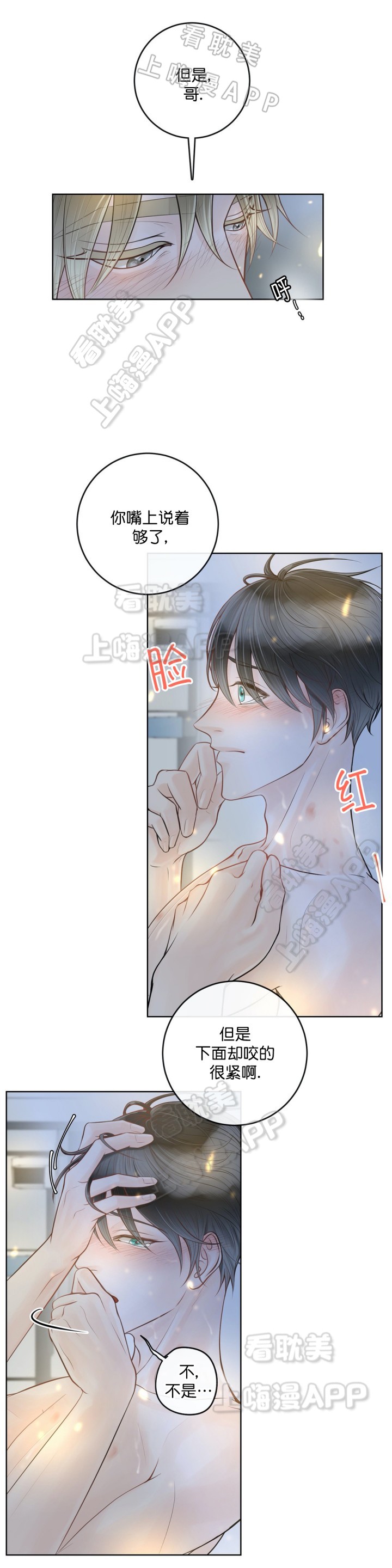 阿尔法伴侣简介漫画,第17话3图