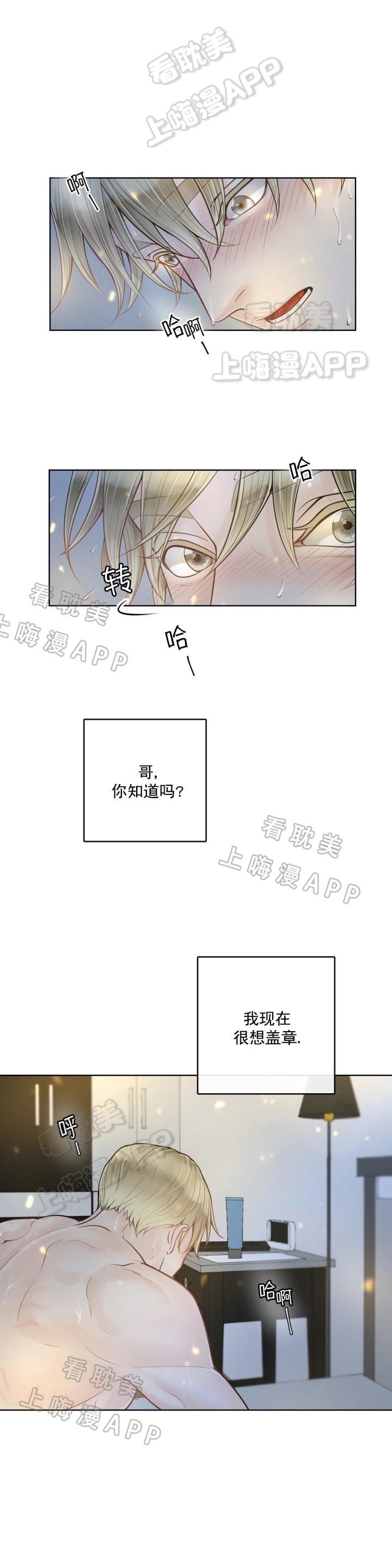 阿尔法伴侣简介漫画,第17话5图