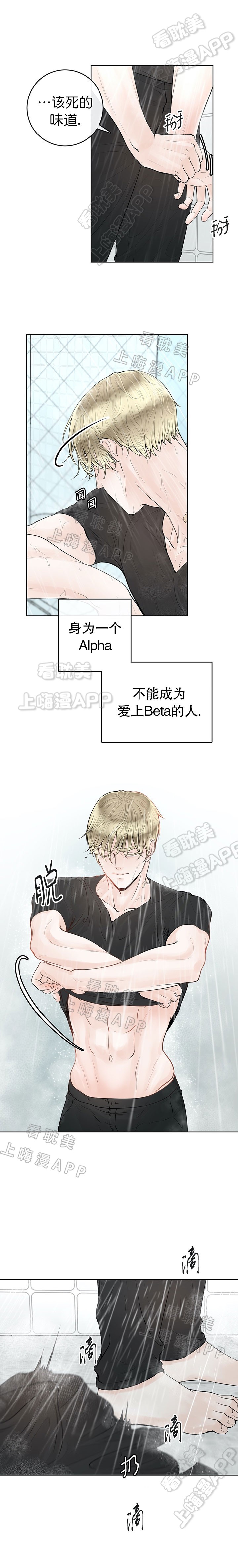 阿尔法伴侣简介漫画,第13话5图