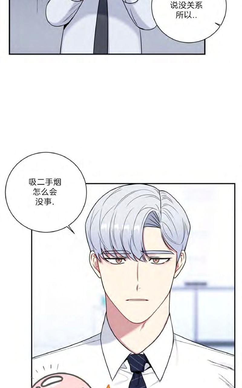 冬日后的樱花在哪看漫画,第12话3图