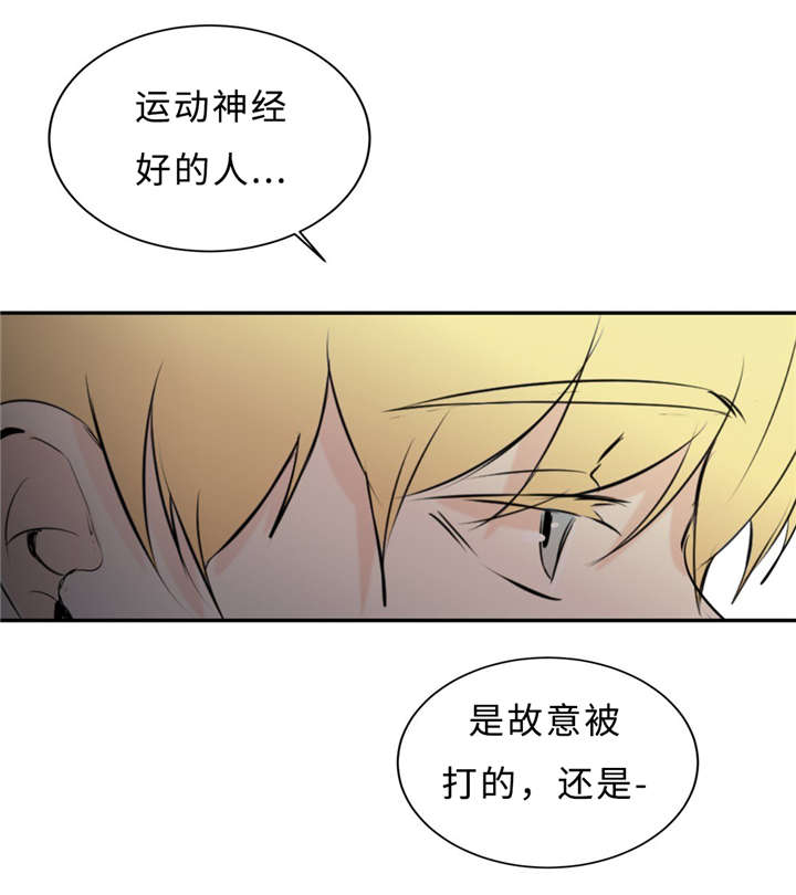 相似形是相似多边形吗漫画,第32话2图