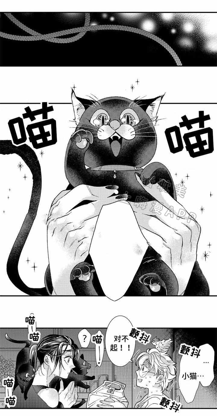 逃脱牢笼全文免费阅读漫画,第13话5图
