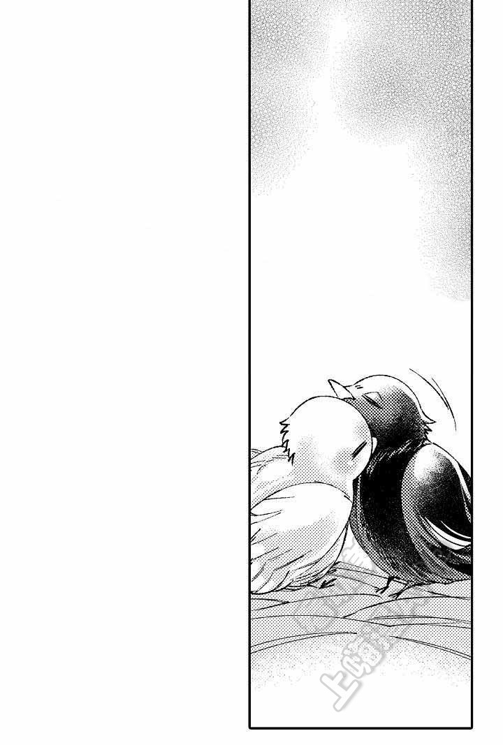 逃脱牢笼的鸟韩漫漫画,第17话3图
