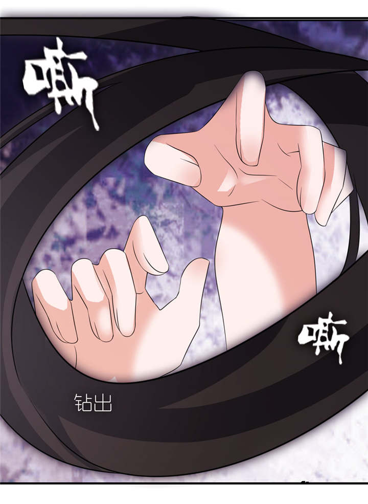 我的新郎逃婚了小说全文免费阅读漫画,第40章：你为什么不要我3图