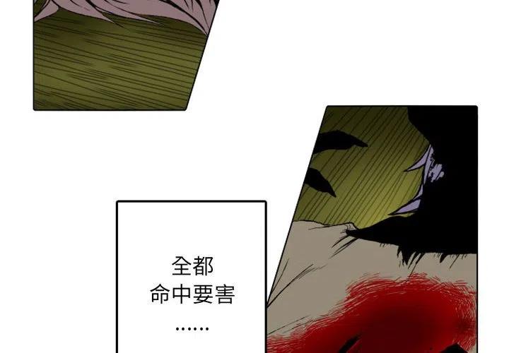 英雄战迹下载漫画,82图