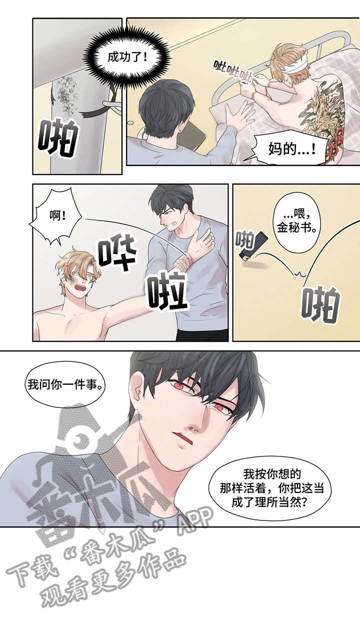 月光胡彦斌漫画,第50章：他不在1图
