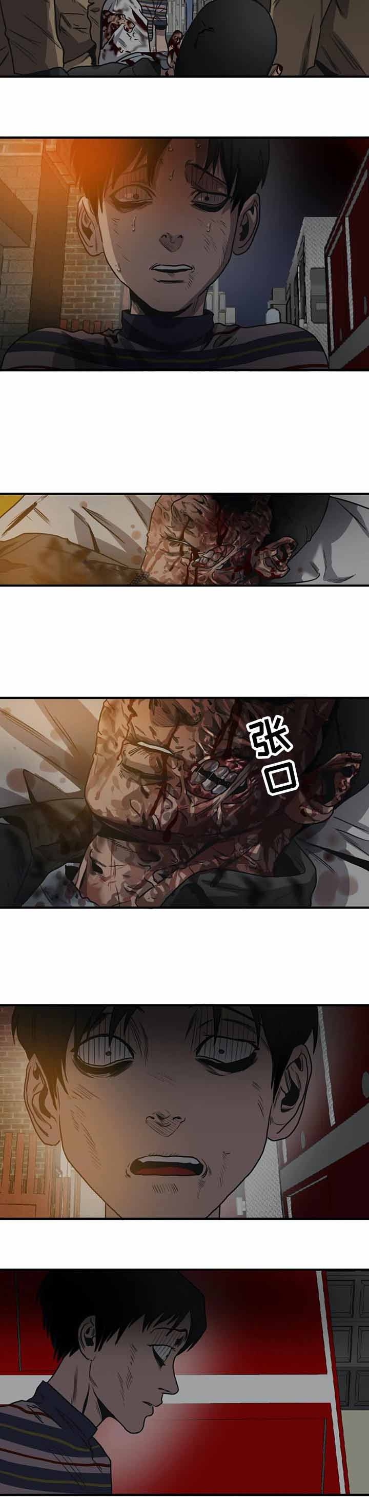 杀戮跟踪漫画免费观看下拉快看漫画最新漫画,第205话5图