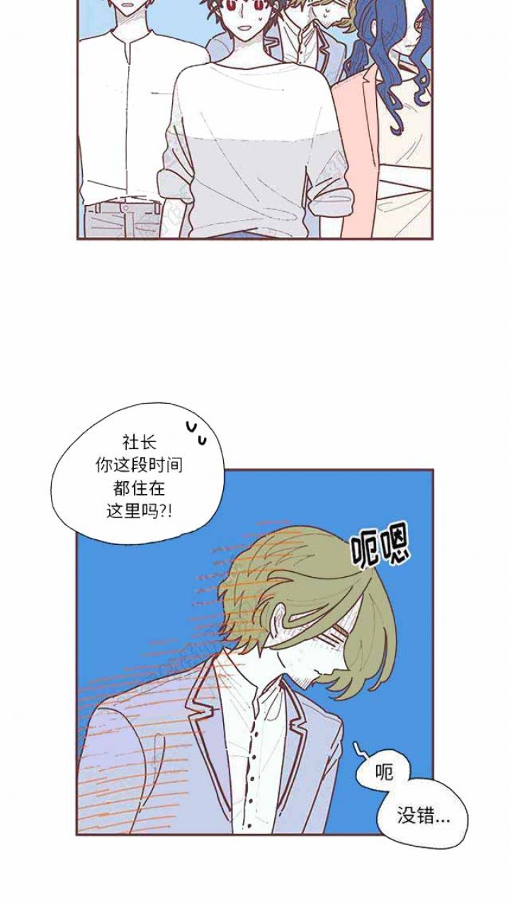 恋上你的绝世容颜免费阅读漫画,第19话4图