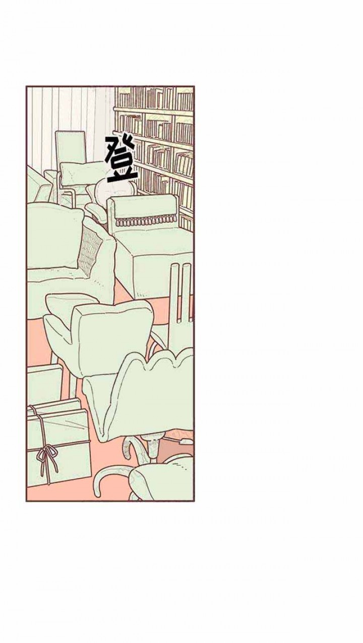恋上你的绝世容颜免费阅读漫画,第19话1图