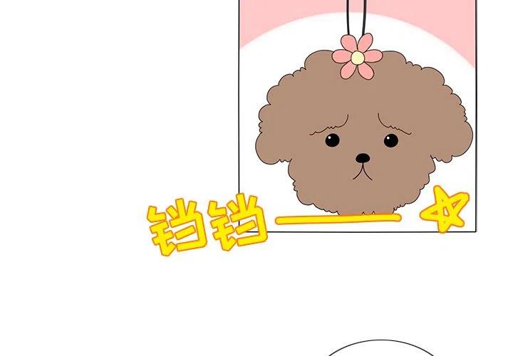 鱼缸中的木头是什么木漫画,332图