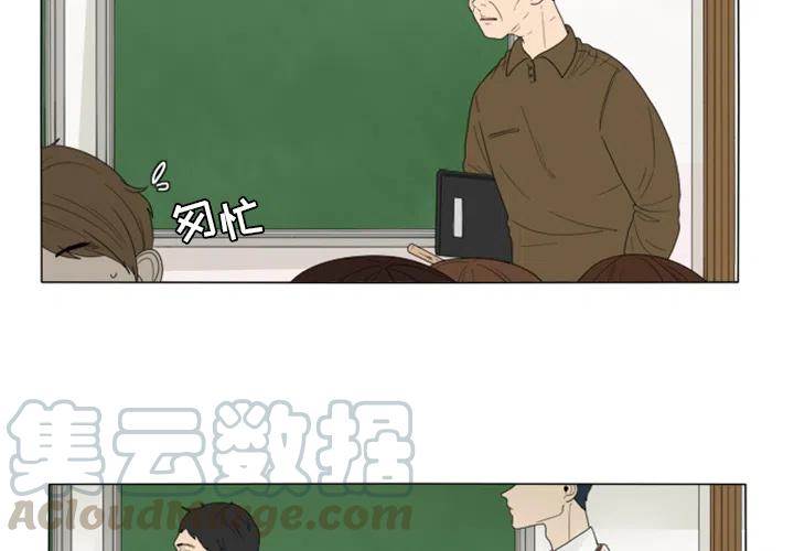 花园鱼缸养什么鱼漫画,23图