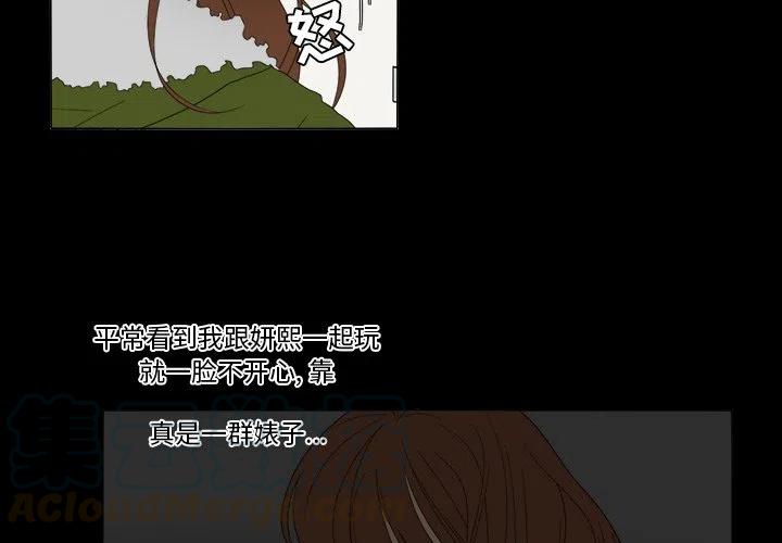 鱼缸中的铜钱草叶子发黄怎么办漫画,363图