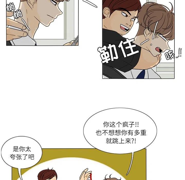 花园墙壁鱼缸漫画,255图