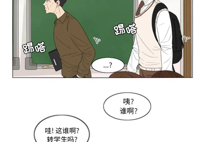 花园鱼缸养什么鱼漫画,24图