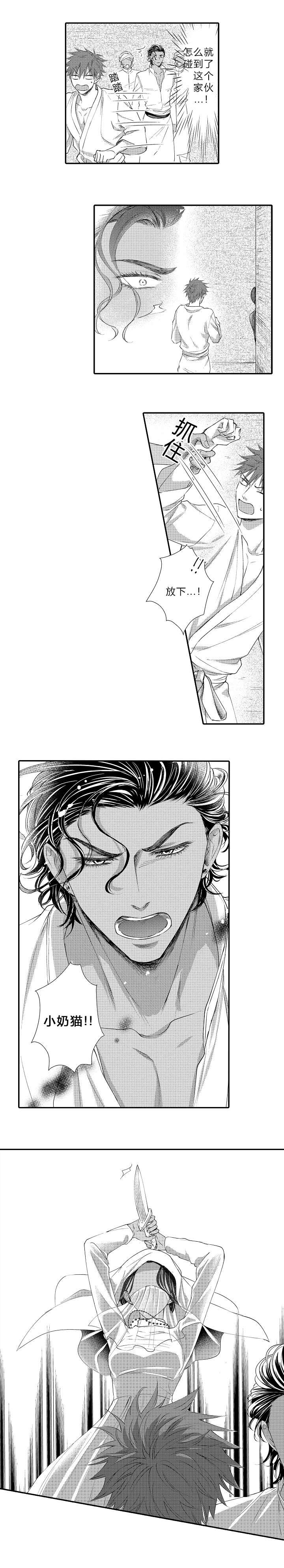 王子的骑士笔趣阁无删减免费阅读漫画,第13话2图